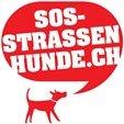 SOS-Strassenhunde
